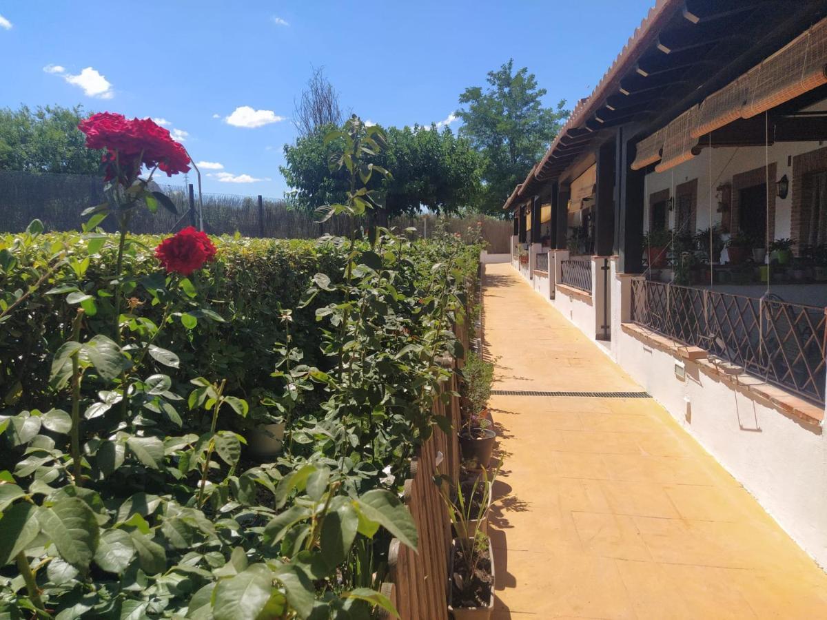 Casa Rural Alamillo Luque Esterno foto